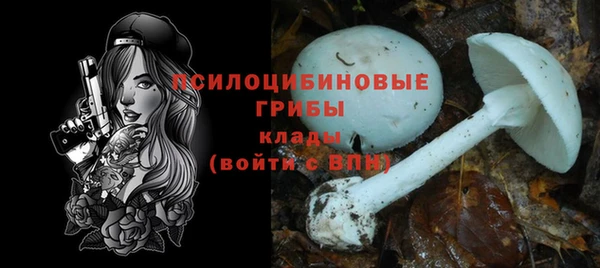 круглые Абаза