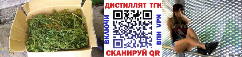 купить наркотики цена  Берёзовка  Дистиллят ТГК THC oil 