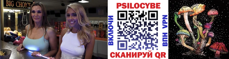 сколько стоит  Берёзовка  Псилоцибиновые грибы Magic Shrooms 